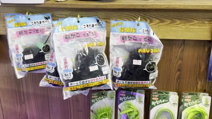 Plants Base (プランツベース) 相模大野