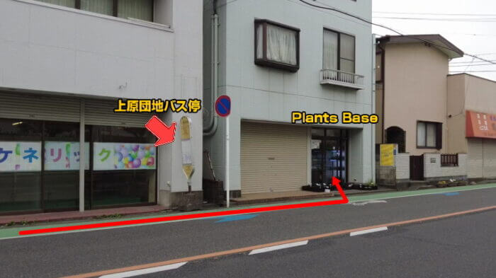 Plants Base (プランツベース)