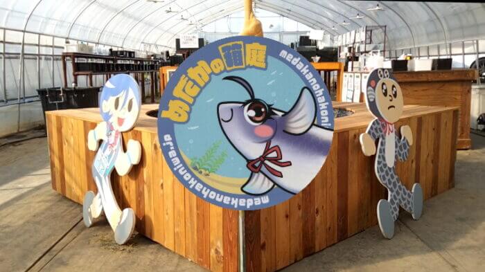 めだかの箱庭 栃木本店