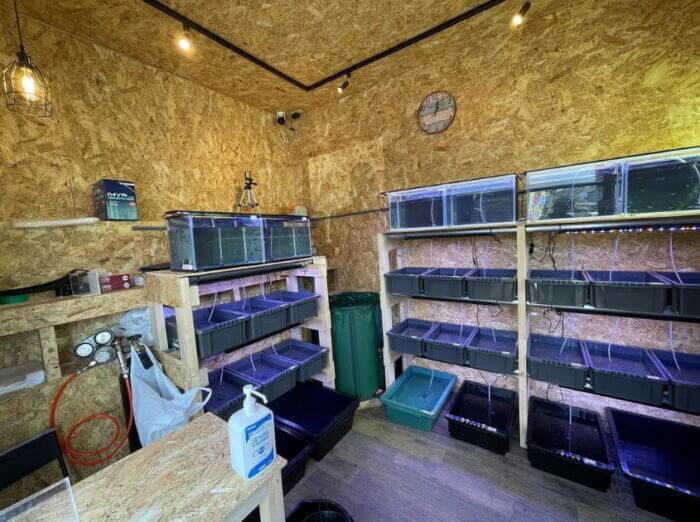 めだか屋HAKOBUNE(はこぶね)