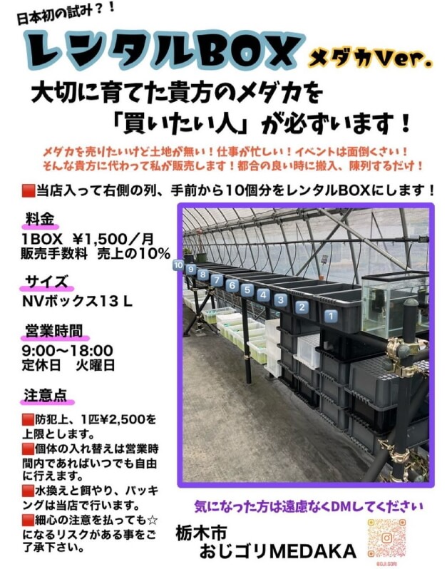 おじゴリMEDAKA(おじゴリめだか) レンタルBOX