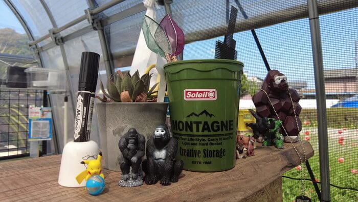 めだか屋 おじゴリMEDAKA(おじゴリめだか) 栃木県