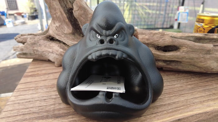 めだか屋 おじゴリMEDAKA(おじゴリめだか) 栃木県