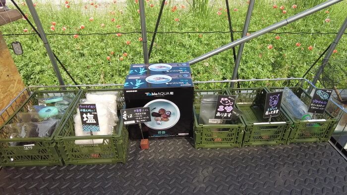 めだか屋 おじゴリMEDAKA(おじゴリめだか) 栃木県