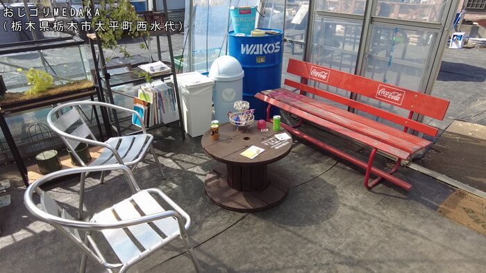 めだか屋 おじゴリMEDAKA(おじゴリめだか) 栃木県