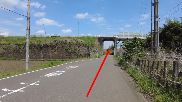 めだか屋 おじゴリMEDAKA(おじゴリめだか) 地図