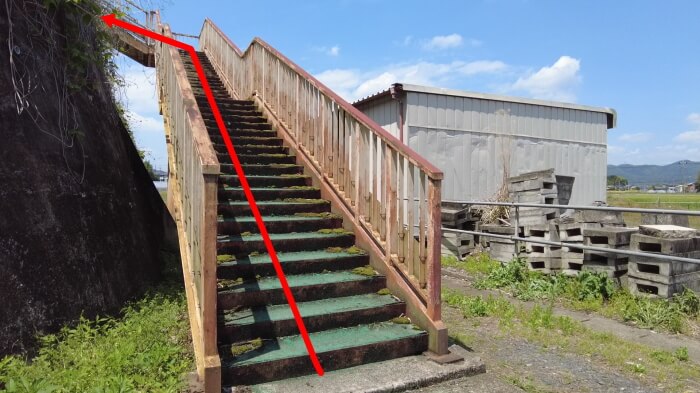 めだか屋 おじゴリMEDAKA(おじゴリめだか) 地図