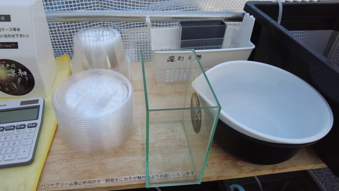 凛和めだか 購入方法