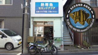 セカンドアクア 東京都江戸川区一之江