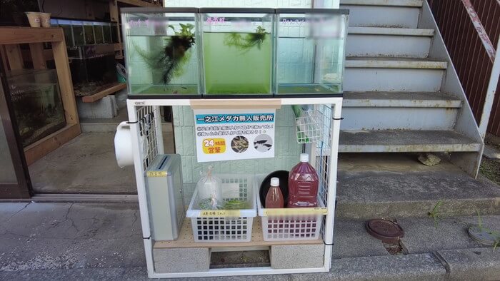 セカンドアクア 一之江