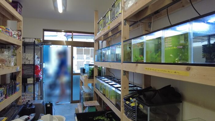 セカンドアクア 一之江