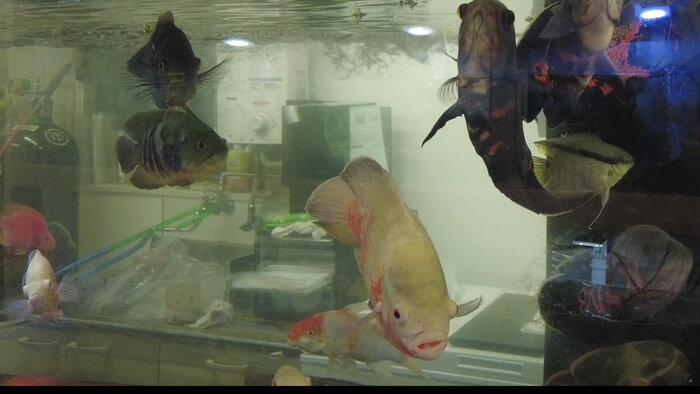 セカンドアクア 一之江