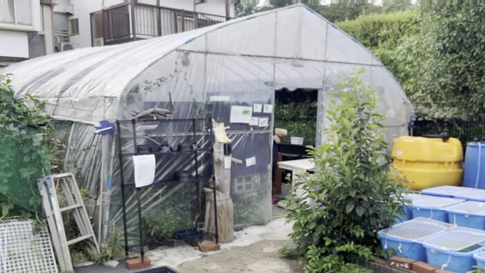 そらメダカ 千葉県市川市堀之内