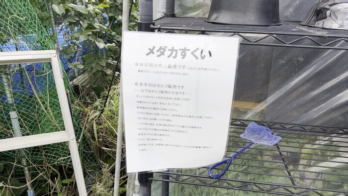 そらメダカ 千葉県市川市北国分