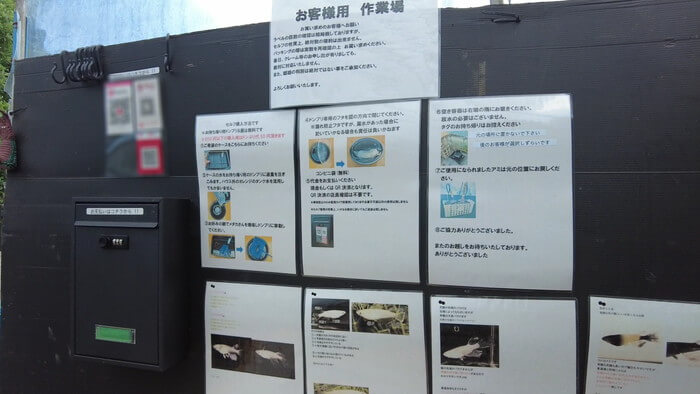 そらメダカ 千葉県市川市北国分