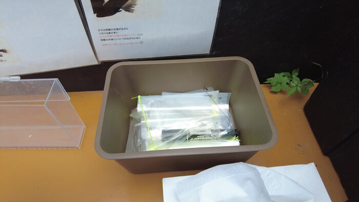 そらメダカ 千葉県市川市北国分