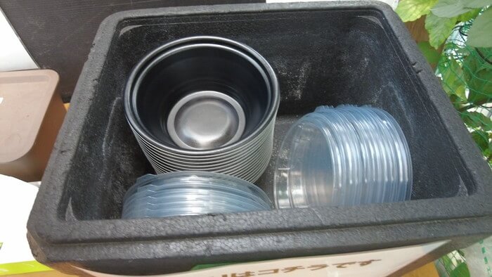 そらメダカ 千葉県市川市北国分