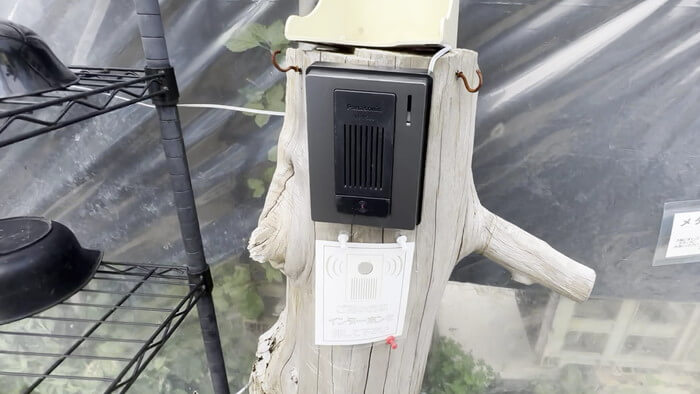 そらメダカ 千葉県市川市北国分