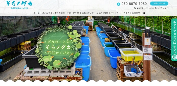 そらメダカ 千葉県市川市北国分