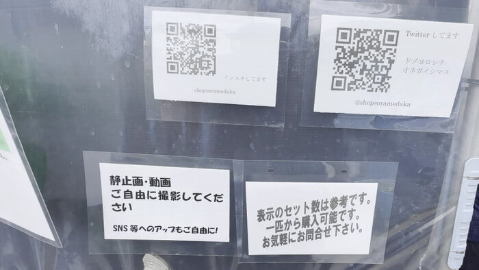 そらメダカ 千葉県市川市北国分