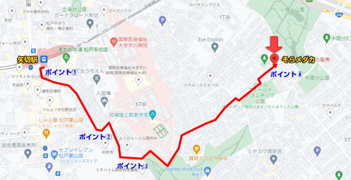 そらメダカ 千葉県市川市北国分