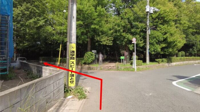 そらメダカ 千葉県市川市北国分