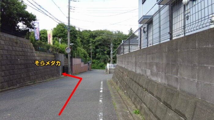 そらメダカ 千葉県市川市北国分