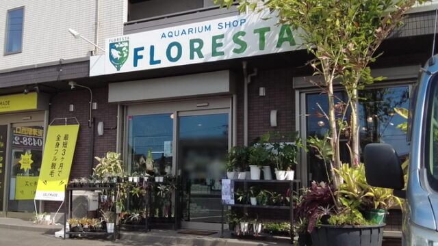 FLORESTA フロレスタ 千葉県木更津市金田東