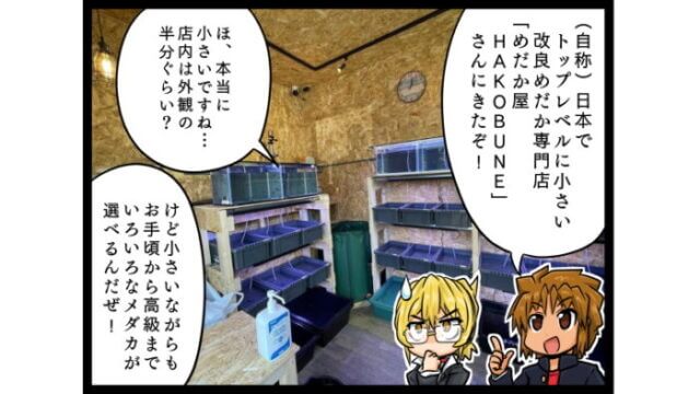 めだか屋HAKOBUNE 4コマまん