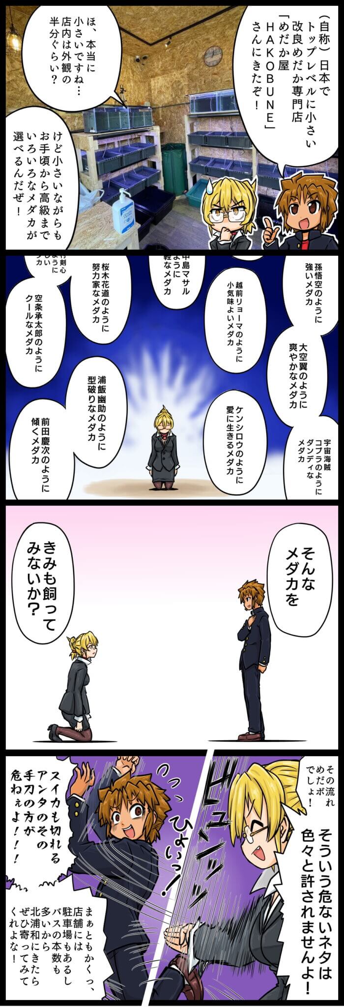 めだか屋HAKOBUNE　4コマまん