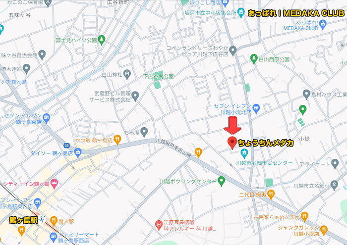 ちょうちんメダカ(提灯めだか) 埼玉県川越市小堤