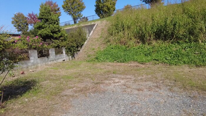 昇龍メダカ 埼玉県比企郡川島町井草