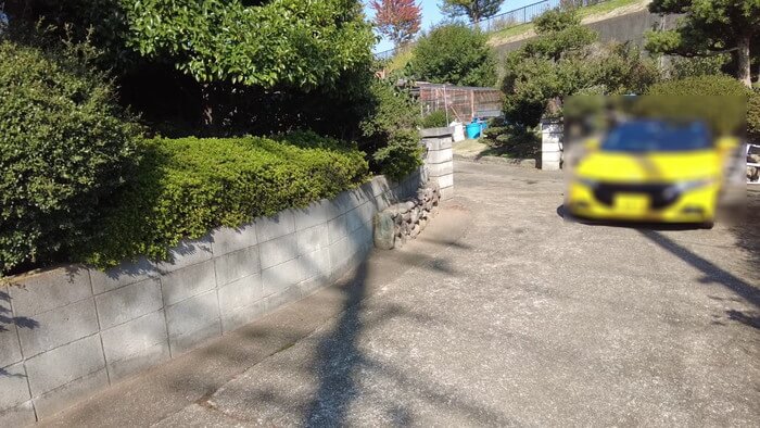 昇龍メダカ 埼玉県比企郡川島町井草