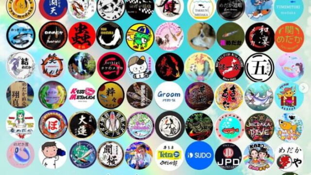 第5回さいたまメダカフェス2024